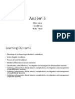 Anaemia: Chan Sze Qi Chen Mi San Shafiq Zahari