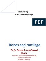 Bone and Cartilage