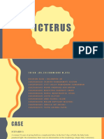 PBL Icterus 3