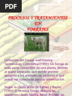 17 Conservacion Forrajes