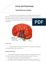 Anatomy and Physiology