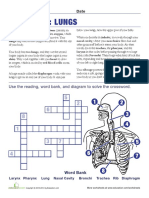 Your Body Your Lungs PDF