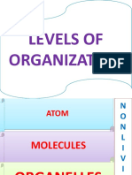 Levels of Organization