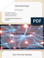 Neurobiology: Introduction To The Nervous System Neuropharmacology Molecular Neuroscience Systems Neuroscience