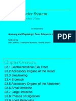 The Digestive System: Chapter 23 - Lecture Notes