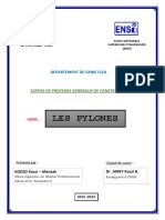 Pylones PDF