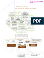 Arbol de Problemas Determinantes Sociales en La Vejez