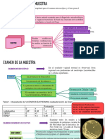 Protocolo Secrecion Vaginal