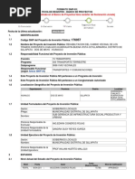 Formato Snip-Mejoramiento de Carretera-Sillapata