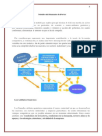 Modelo Del Diamante de Porter (Informacion) 2