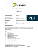 Ficha Tecnica Cal Viva Ecuasand PDF