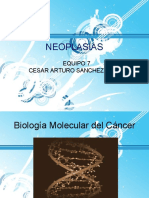 Biología Molecular Del Cáncer