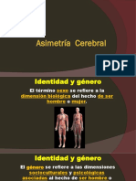 Asimetría Cerebral