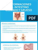 Malformaciones Del Intestino Delgado y Grueso