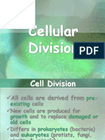 5 Cell Cycle Cell Division