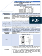 Fichas Tecnologìas Final de Tubo. Michelle Rivera