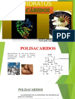 POLISACÁRIDOS