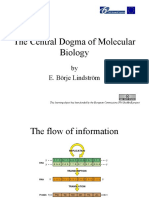 The Central Dogma of Molecular Biology