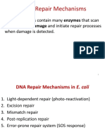 DNA Repair Mechanisms-1 PDF