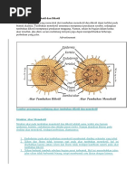 Biolog I