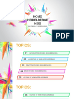 Homo Heidelberge Nsis: Anatomically Modern Human