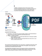 Fluid Coupling &torque Converter