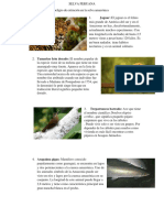 SELVA PERUANA Informe de Recursos