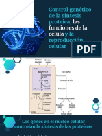 Control Genético de La Síntesis Proteica - Fisiología