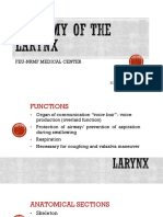 Anatomy of The Larynx