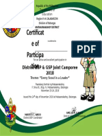 Certificate of Participation BSP