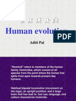 Human Evolution: Aditi Pai