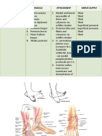 Action Muscle Attachment Nerve Supply