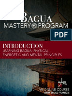 Bagua: Mastery Program