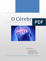 O Cérebro