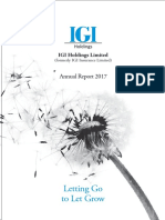 IGI Annual Report 2018