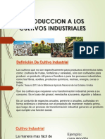 Introduccion A Los Cultivos Agroindustriales