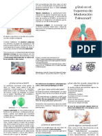 Esquema de Maduracion Pulmonar TRIPTICO