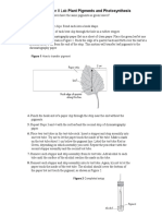 Problem Procedure: Chapter 8 Lab Plant Pigments and Photosynthesis