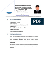 Curriculum Vitae Miguel