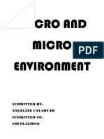 Macro and Micro Environment