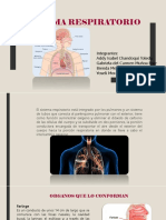 Sistema Respiratorio