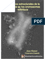 Elementos Estructurales de La Cromatina en Los Cromosomas Mitoticos.