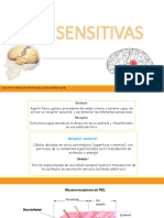 Vias Aferentes PDF