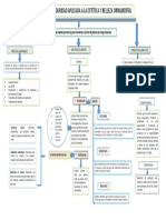 Mapa Conceptual Bioseguridad