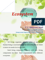 Ecosystem: V. S. Saravana Mani