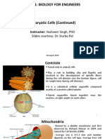 Bm101: Biology For Engineers: Instructor: Yashveer Singh, PHD