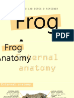 Bio Depex 2 Frog Anatomy