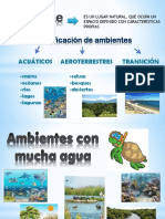 Clasificación de Ambientes