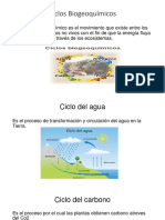 Ciclos Biogeoquimicos