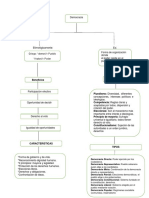 Mapa Conceptual Civica